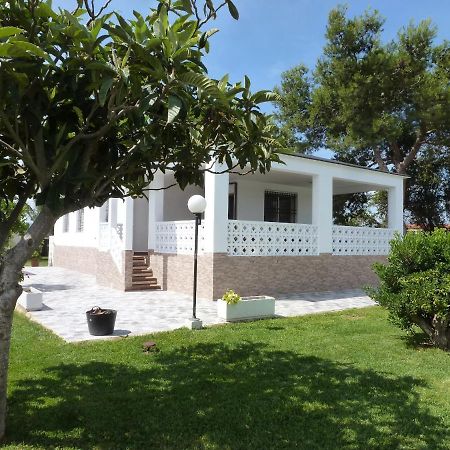Chalet Verde Тавернес де Валдигна Екстериор снимка